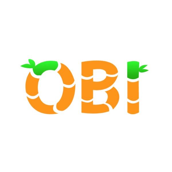 Read more about the article OBI Services